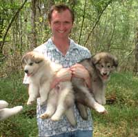 Hudson's Malamutes - Walt Foreman (Director) with Hudson's puppies at the movie Sparkle and Tooter