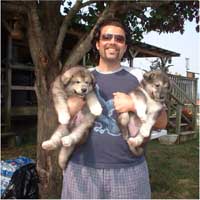 Hudson's Malamutes - Robbie Davis (Tooter) with Hudson's puppies at the movie Sparkle and Tooter