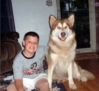 Hudons Malamutes - Alex with Ruby
