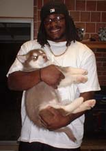 Hudson's Malamutes - Tennessee Titans Chris Henry  with A Hudsons puppy.